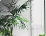 PG模拟器：经典游戏重现 - pg模拟器