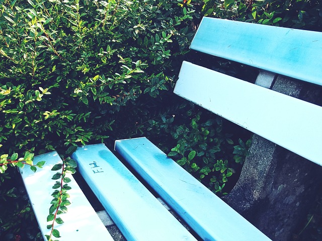 這些年輕球 這些年輕球