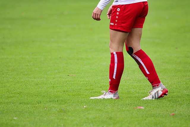 球迷翹首以 球迷翹首以